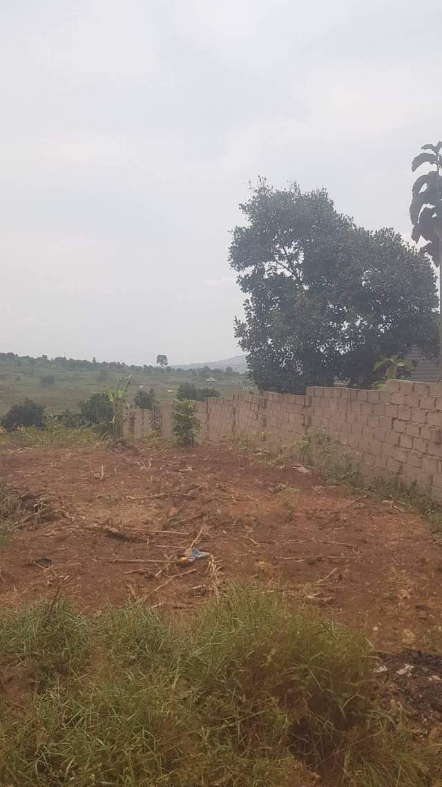A picture of Land