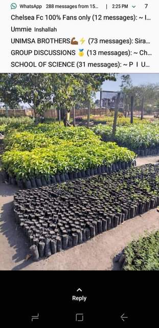 MALAWI T.