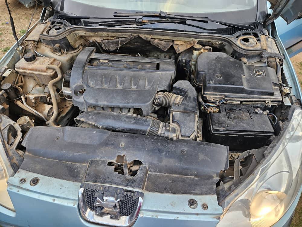 A picture of Peugeot 407