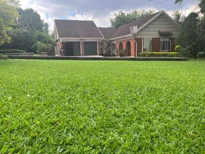 A picture of House for RENT at 2500 per month at Naguru.