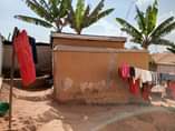 A picture of HOUSE AND RENTALS 4 SALE Located in Matugga town on