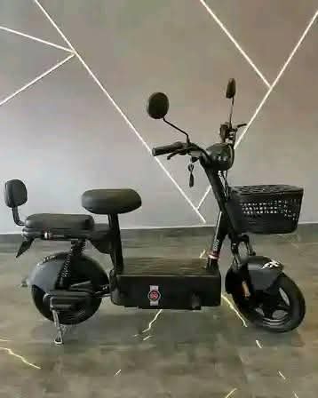 motorbikes