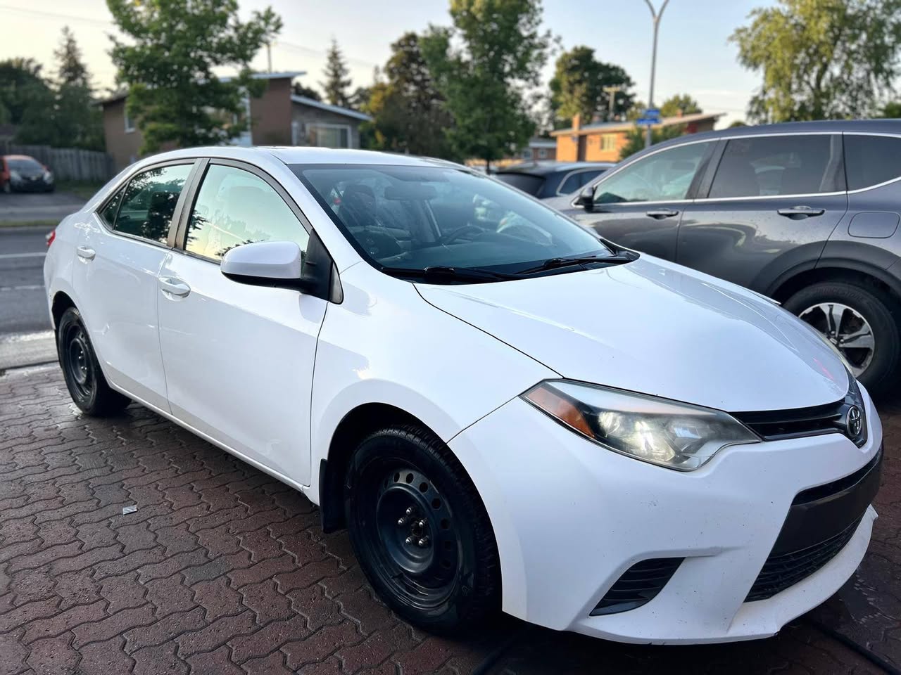 A picture of Export quality cars