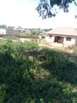 A picture of Hotel deal 2 plots is available for sale each plot