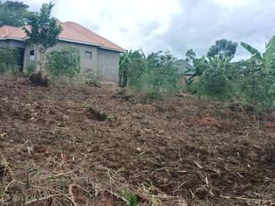 A picture of MAZIMA BISOBOKA get your own plot to day New site