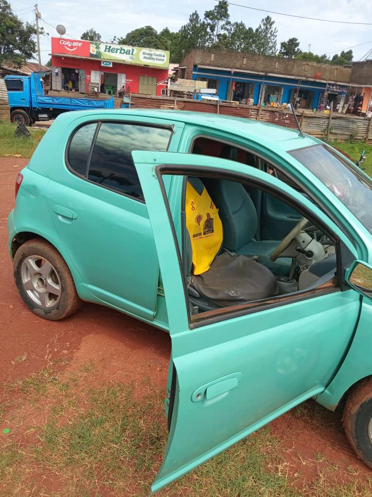 A picture of Vitz