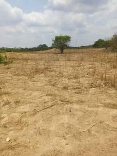 mwembeshi