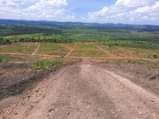 A picture of PLOTS FOR SALE