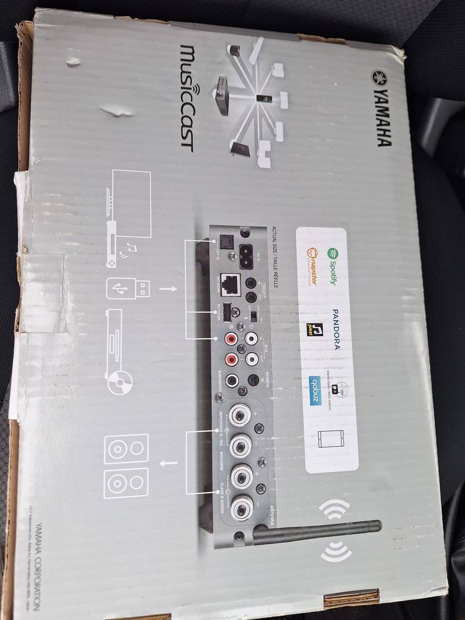 amp