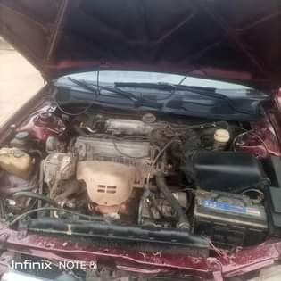 A picture of Ibadan 08059940458 please only serious Bayer