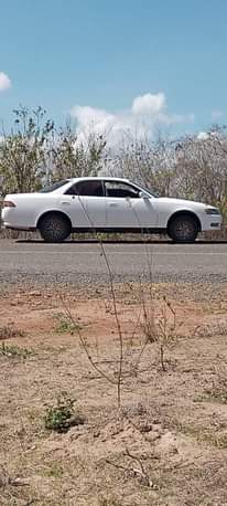 A picture of Mzigo upo sokoni huu