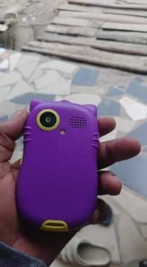 A picture of Mr