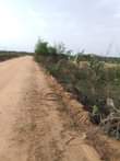 A picture of An acre of land at bisodu in ofada area of