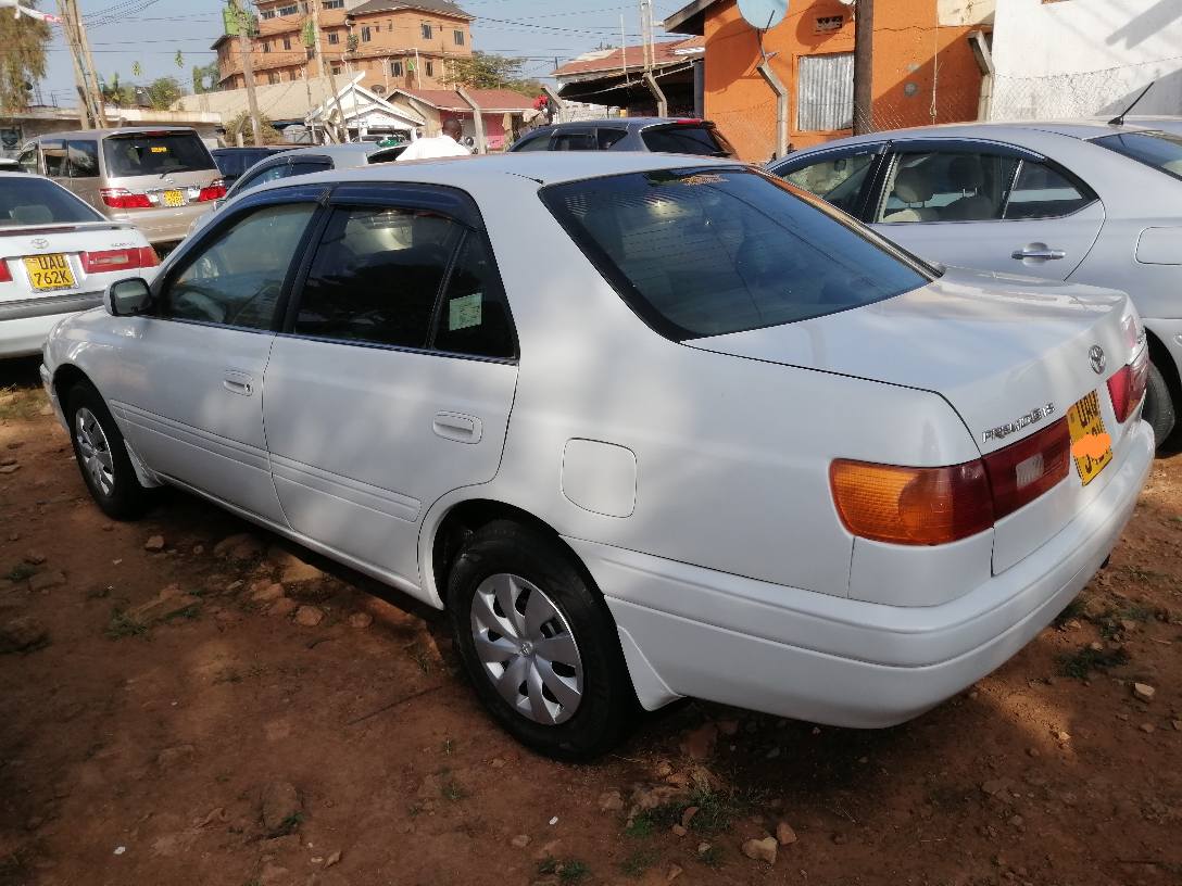 A picture of Premo on market contact me on 256751331103