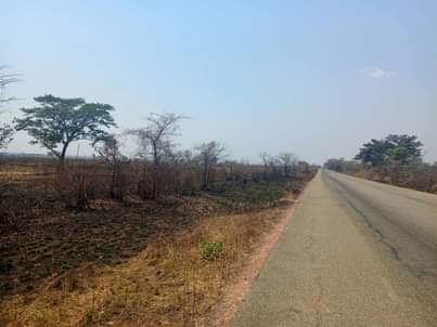 chisamba