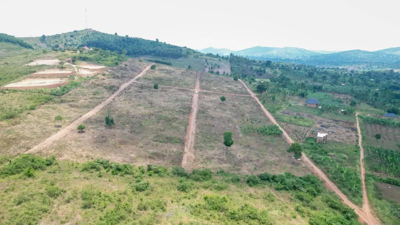 A picture of Land