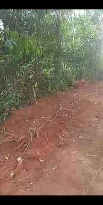 A picture of Land