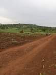 A picture of Good plots on sale Location Matuga gombe Along semuto road