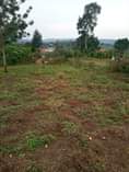 A picture of Plot with ready title available for sale in Gombe butambala
