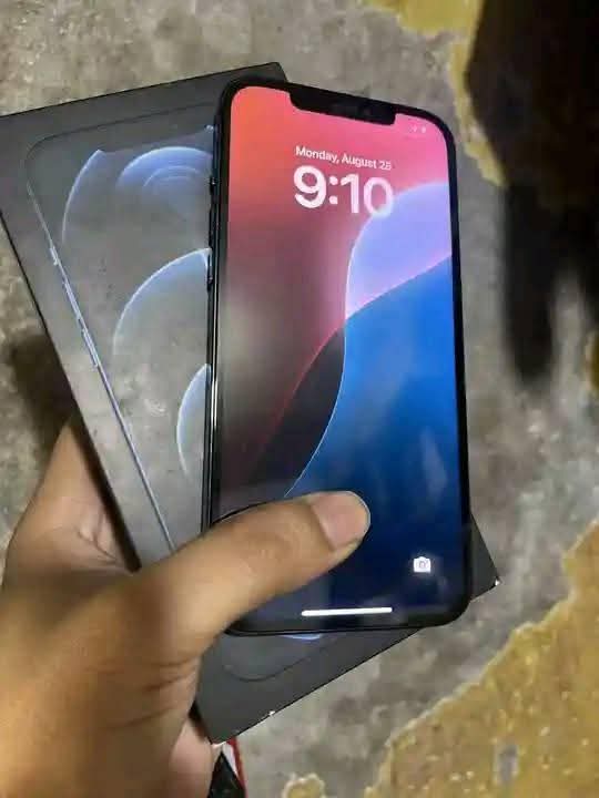A picture of iPhone 12 pro Max