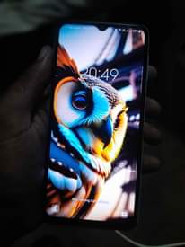 A picture of 0687419872
