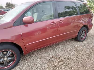 A picture of sienna 04