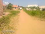 A picture of Nice plot for sale Price 8millions