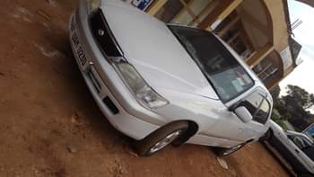 A picture of 6 9m 0705835212