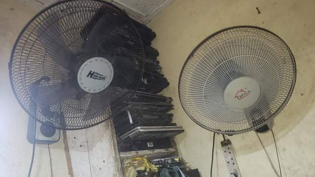 fans
