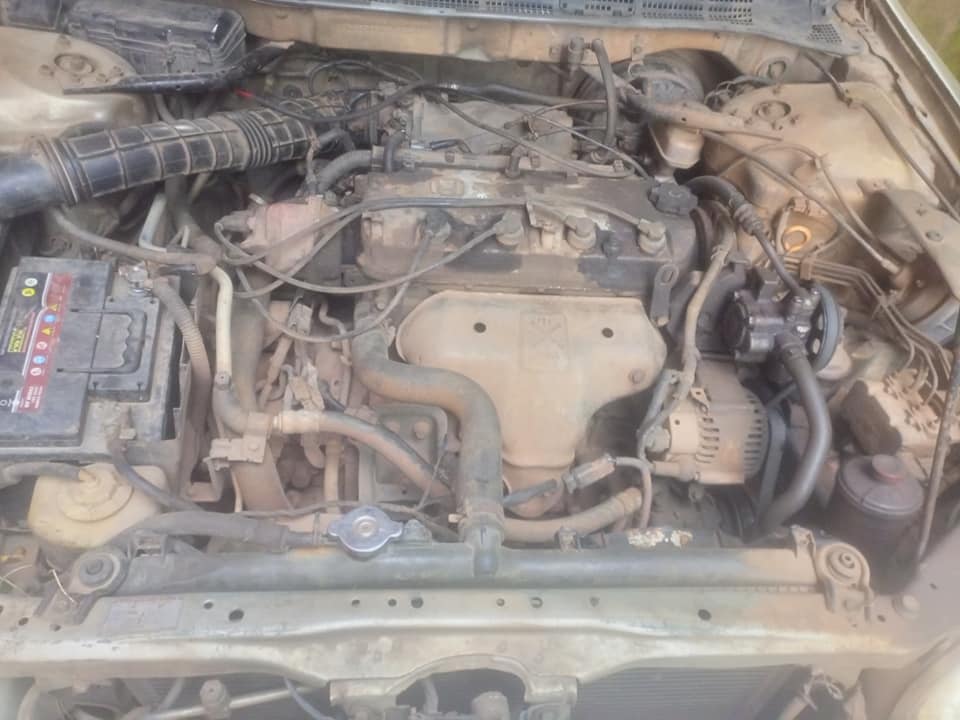 A picture of Honda Accord baby boy