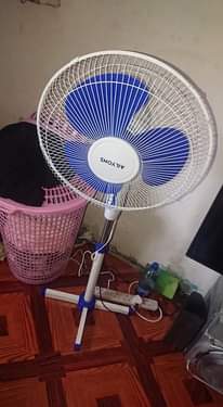 A picture of Mr