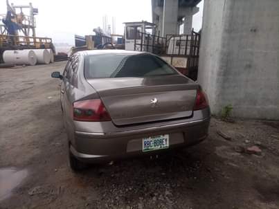 A picture of 2007 Peugeot 407