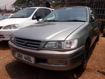 Mutyaba M.