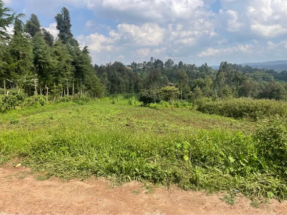 property with title deeds