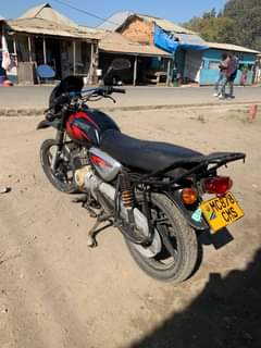A picture of Boxer cc125