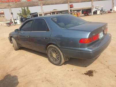 A picture of Camry fish light