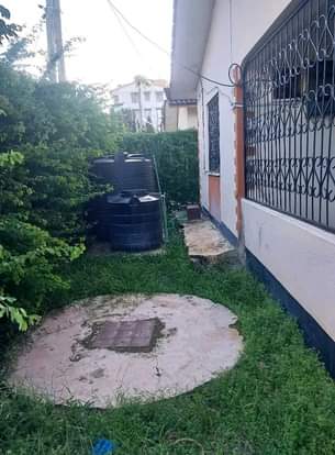 Divan M.
