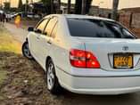 A picture of BREVIS SOKONI 5 9M CALL 0756553292