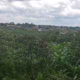 A picture of 30 decimals 25m About three 50 100 plots Matugga Buwambo