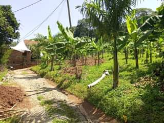 A picture of 35 DECIMALS FOR SALE LOCATED IN ZANA ON ENTEBBE ROAD