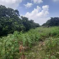 A picture of SHAMBA LA EKARI 3 LINAUZWA FUKAYOSI BAGAMOYO