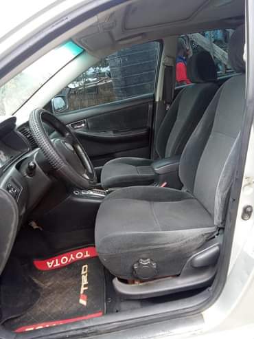 A picture of BELGIUM STANDARD PRISTINE CONDITION EVERYTHING SOFT CHILLING AC AND UNTAMPARED