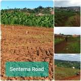 houses hoima