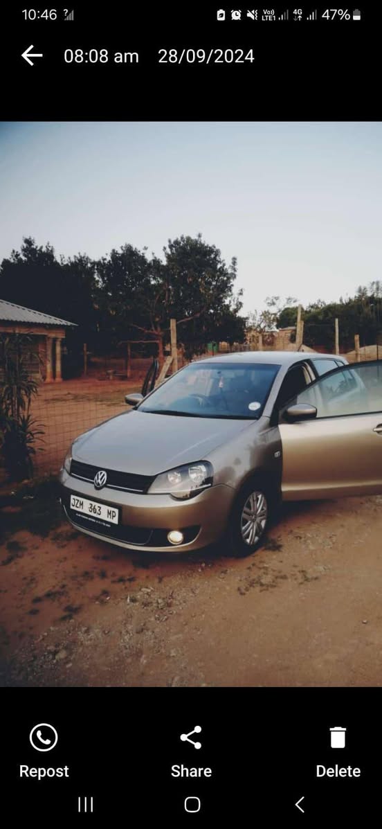 polo vivo
