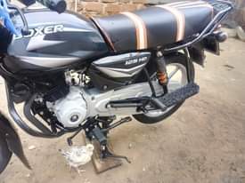 A picture of boxer hd 125