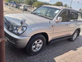 A picture of Amazon kalii sana ml 34 chap