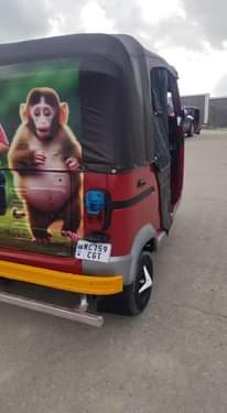 A picture of Tvs king