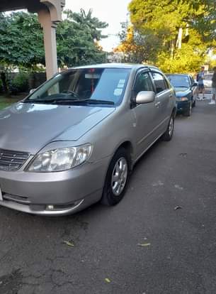 used toyota corolla