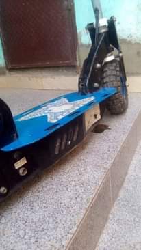 A picture of Scooter