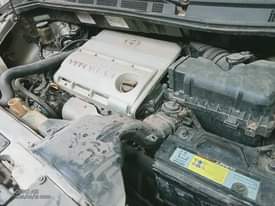 A picture of Sienna 05 06